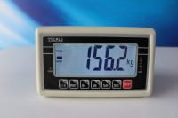 Indicador de balanza T-Scale BW en Arequipa