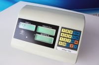 Indicador de balanza Excell lap-300 - AP3-300 en Arequipa